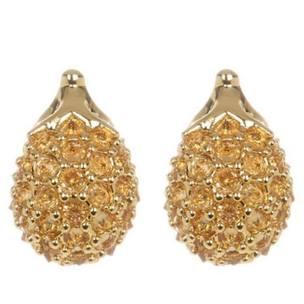 Kate spade earrings ✨